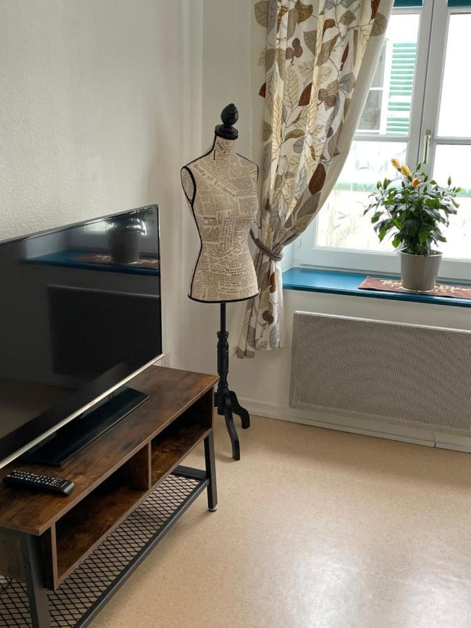 Studio Cosy Confortable En Centre Ville 默兹河畔凡尔登 外观 照片